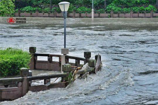 辟谣!鳄鱼逃跑、大桥被淹、美女被救…都是假的!这些信息才是真的