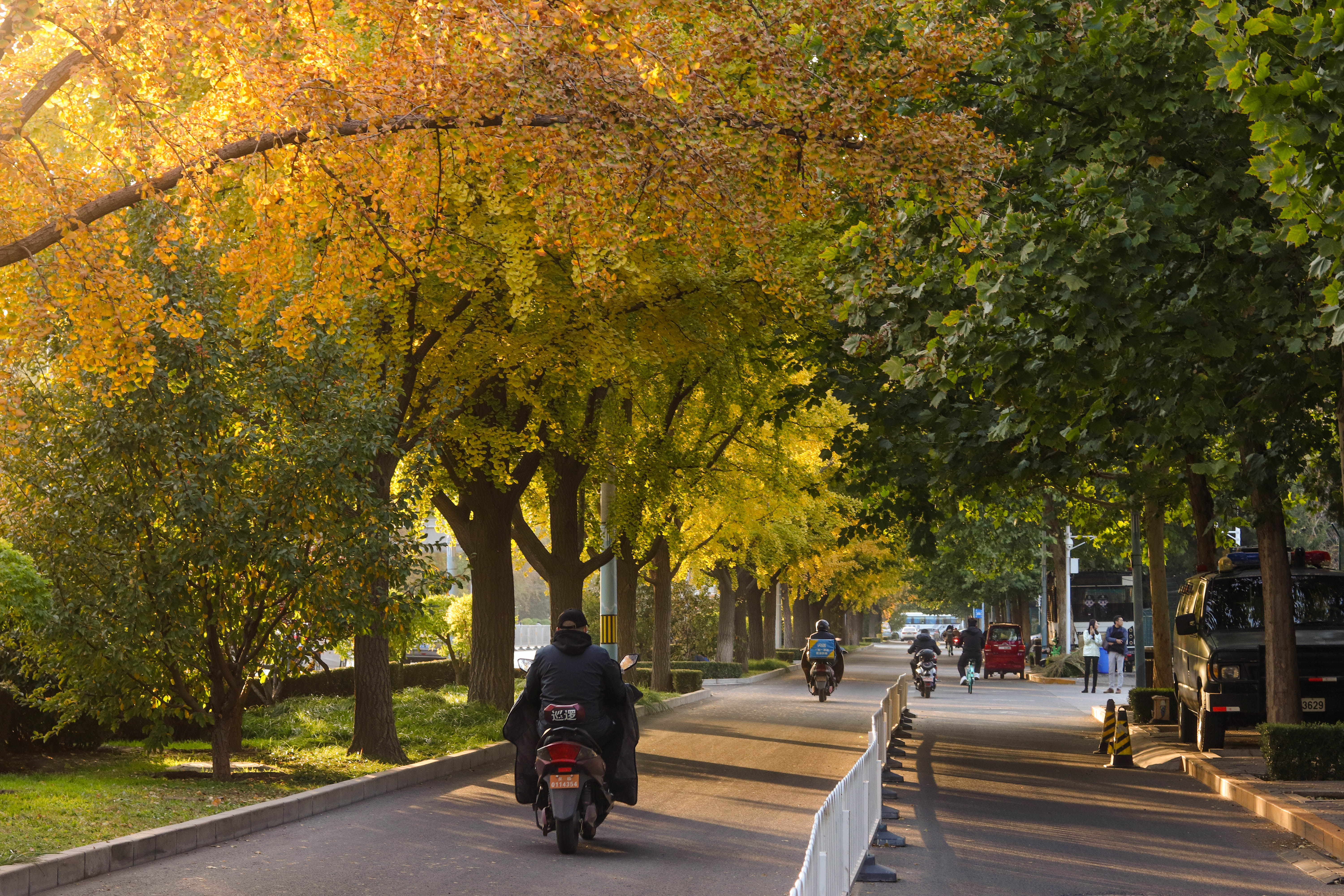 他愿付出生命的三分之二,只为留住北国秋天│北京表情