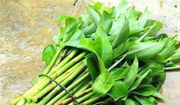  「那就」这种野草模样怪，身材高挑开花纯美，挖出嫩芽美味得舔净盘底！