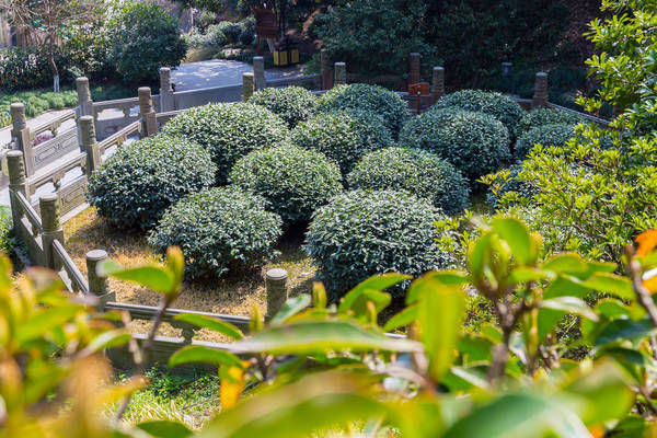 西湖最冷门的旅游路线，人少景美，一般人都不知道