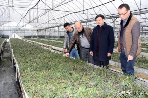 又一好消息来了!农村这3个问题被列入优先改善计划，农民早准备