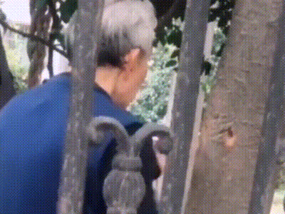  【试试】每日易起:褒贬不一的赛博皮卡 有多少人想试试?