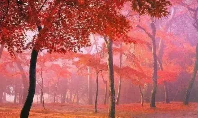  「叫板」四川敢叫板九寨沟和稻城亚丁的小城，美得惊人却很低调