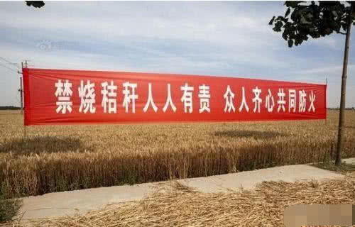  严查■临近年底，相关部门将有大动作，严查农村3件事，农民要心