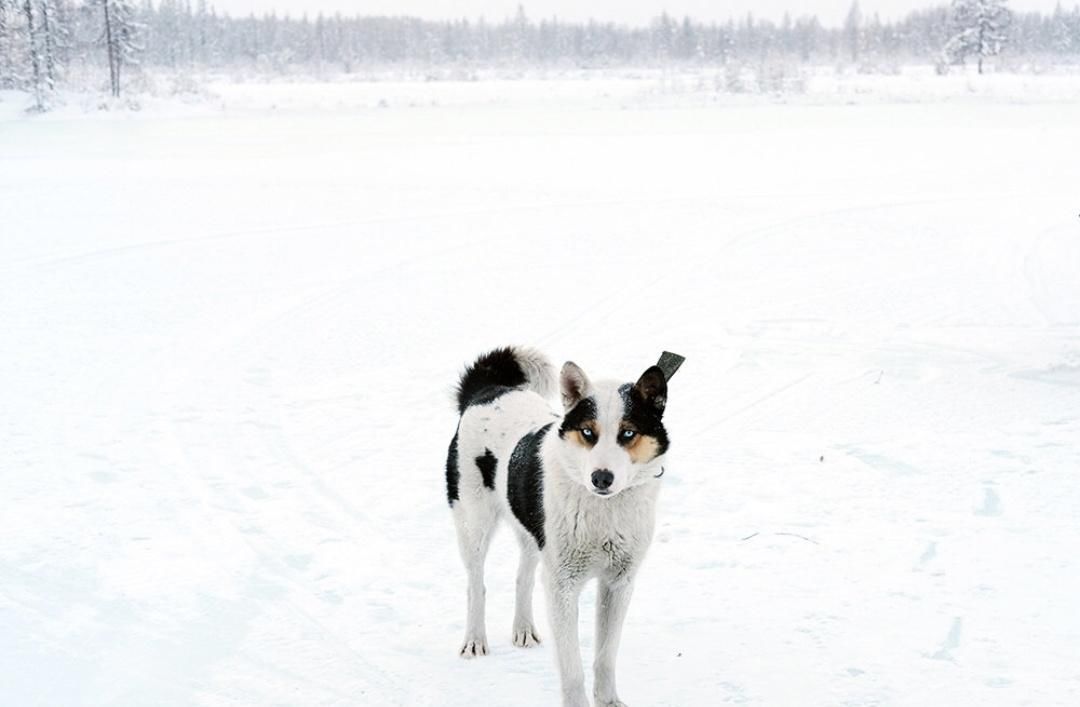 世上最冷的村子，门窗设置有5层，吃喝不愁却最怕户外上厕所