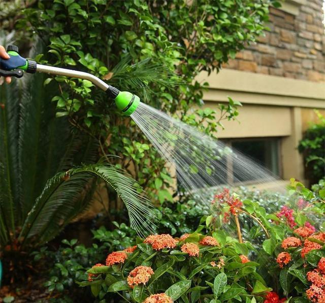 水像|柳树下捡点树枝,泡成水像植物的“兴奋剂”,喷一点就茁壮成长