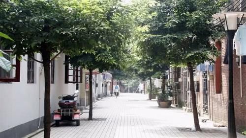  张良：河南最干净的一座城市，不是开封也并非洛阳，知道是哪吗