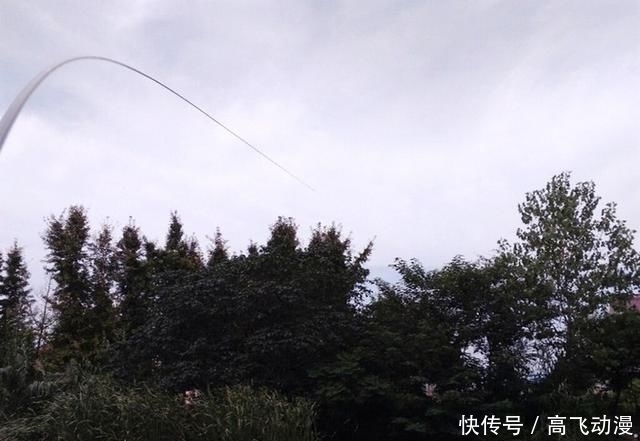 水域:鲢鳙并非稀有鱼种,为何一些水域不让钓?水库老板说出“真相”