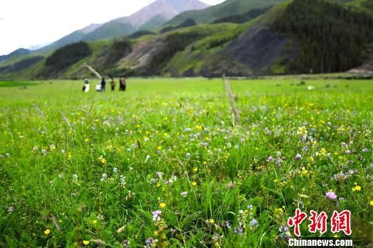 祁连山“天坑”变草滩：昔日淘金洗沙地成旅游景点