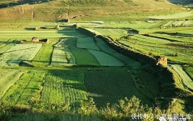 #马营#马营界墙:徐光辉打他奶奶——公事公办