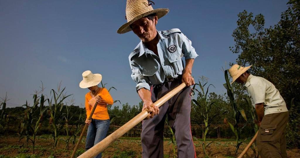  #继承#看看2020年如果孩子不是农村户口，能否继承父母的宅基地