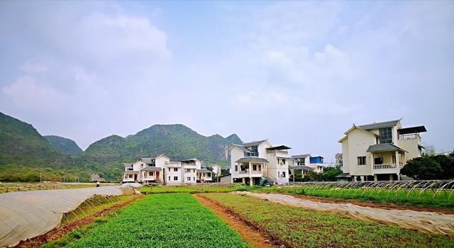 2019年农村土地回收试点情况是怎样的?
