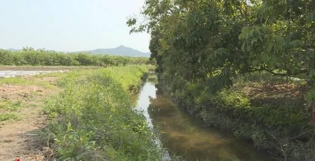  【铁铺镇坎下村】土地流转出效益乡村振兴有活力