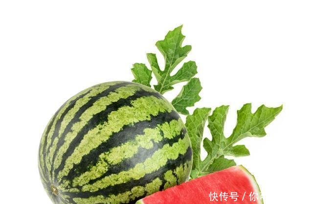 河南瓜农2万多斤西瓜遭人砍烂, 瓜农欲哭无泪发誓“再不种瓜”