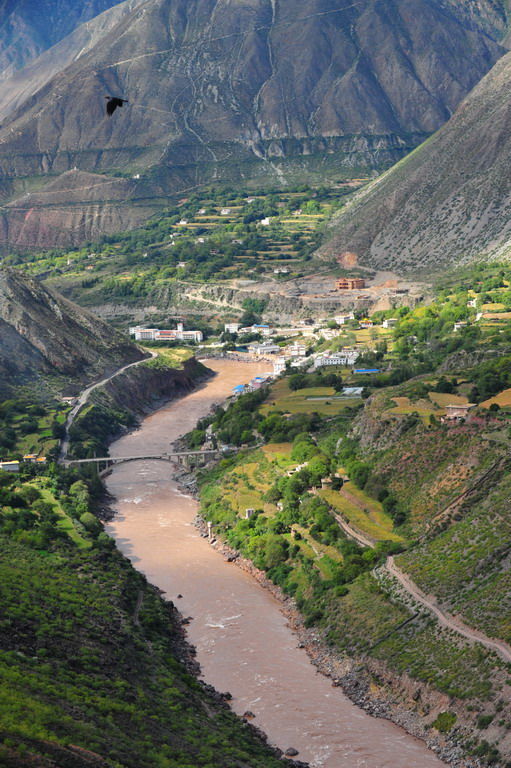 川藏线上遇见“白菜”,为什么不能摘?老中医的回答亮了!