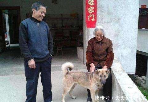  [家中]农村俗语“宅子有三喜，家中才人出”，“三喜”指的是什