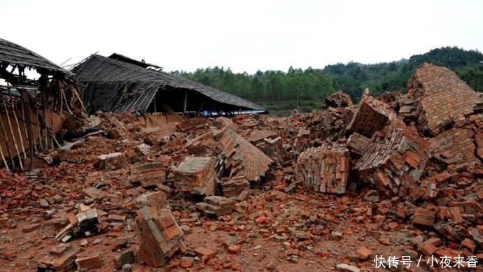  #水泥砖#禁止烧制红砖? 专家说烧制红砖不划算, 农民三句话让专