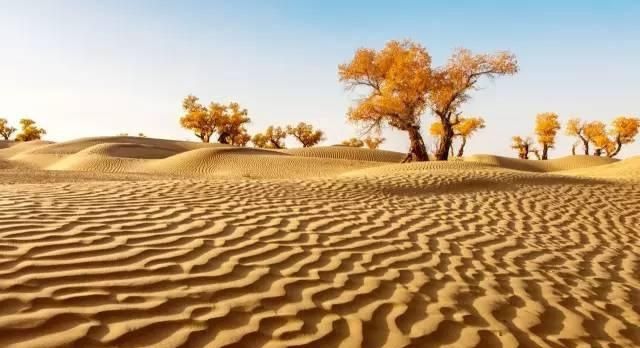 12星座专属“国内度假胜地”巨蟹座美丽香格里拉，射手座大草原