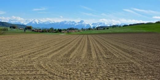  #耕种#土地荒芜耕种入不敷出，年轻人不愿接班，中国的农业以后
