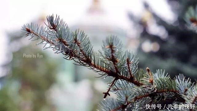 曾被我国驴友称为“史上最难办签证国家”,仅剩2个月免签将结束