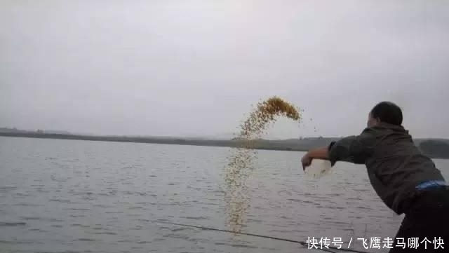  玉米■湖库守钓，为什么说不要玉米打窝玉米钓