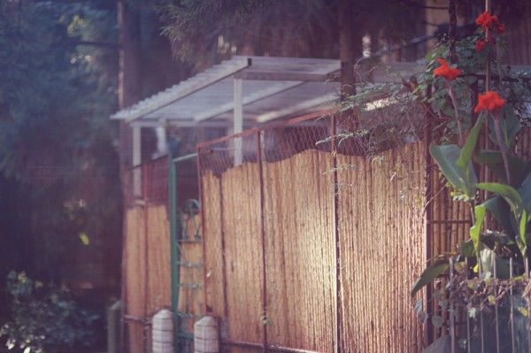 东一院内，静谧之间的欢喜