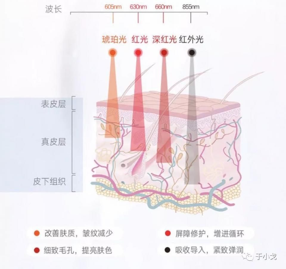 曝大S童年"黑"历史,拼命美白会有害健康么?