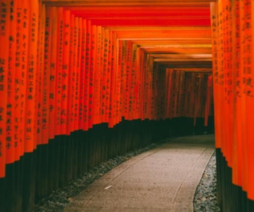 日本女人爱来中国旅游,看着是在旅游,其实是为了带走这两样东西
