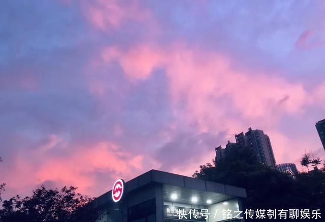 平均气温大于22℃:昨天,上海因为它登上热搜!美到窒息……
