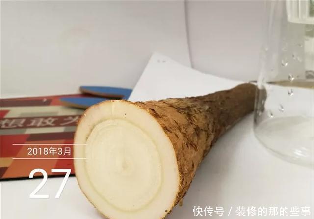 『花钱买』养花技巧:最难养的3种花,扦插100%活,下次别再花钱买啦