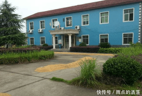 2019年, 农村新增两个机构、一个岗位, 村委会迎来三大变化