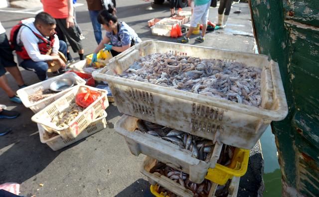 开海了,连云港海鲜成白菜价