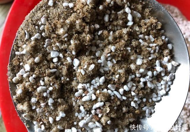  浇水：养多肉用这种土，水多了不会烂根，水少了也不会干旱！