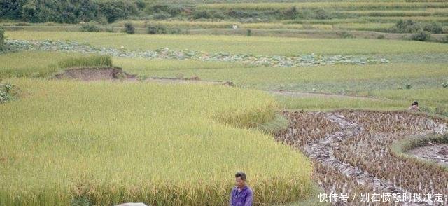 农村愈演愈烈的四大“怪风”，让农民很头疼，国家也该出手整治了