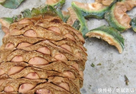 农村人都去山上捡的东西，拿来卖钱收入比打工还高，城里600一