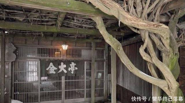  『品尝』在日本百年老字号“金大亭”品尝正宗北海道乡土料理“石狩锅”