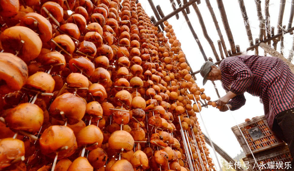 农村老媪打工给柿子削皮，削一斤1毛钱，一天削300斤挣30元