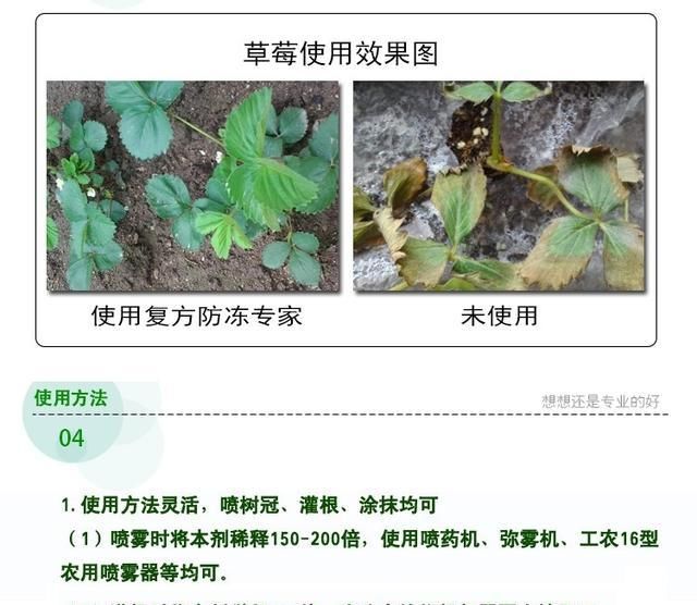 『植物』植物专用的防冻剂到底在什么时候用?怎么用?