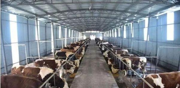  「养殖场」环保法新规定农村颁布“禁养令”，这三类养殖场将被