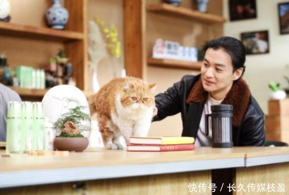 上新了故宫邓伦张鲁一
