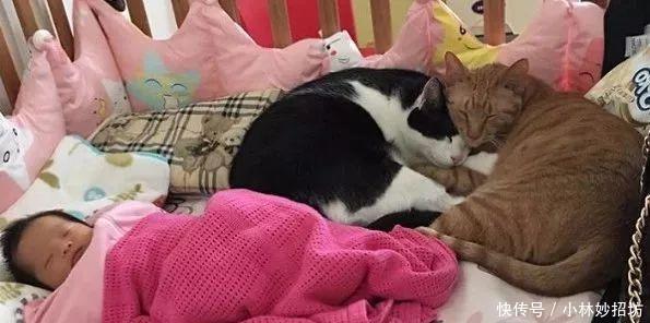 还在相信怀孕不能养宠物吗? 连央视新闻都出来辟谣了!