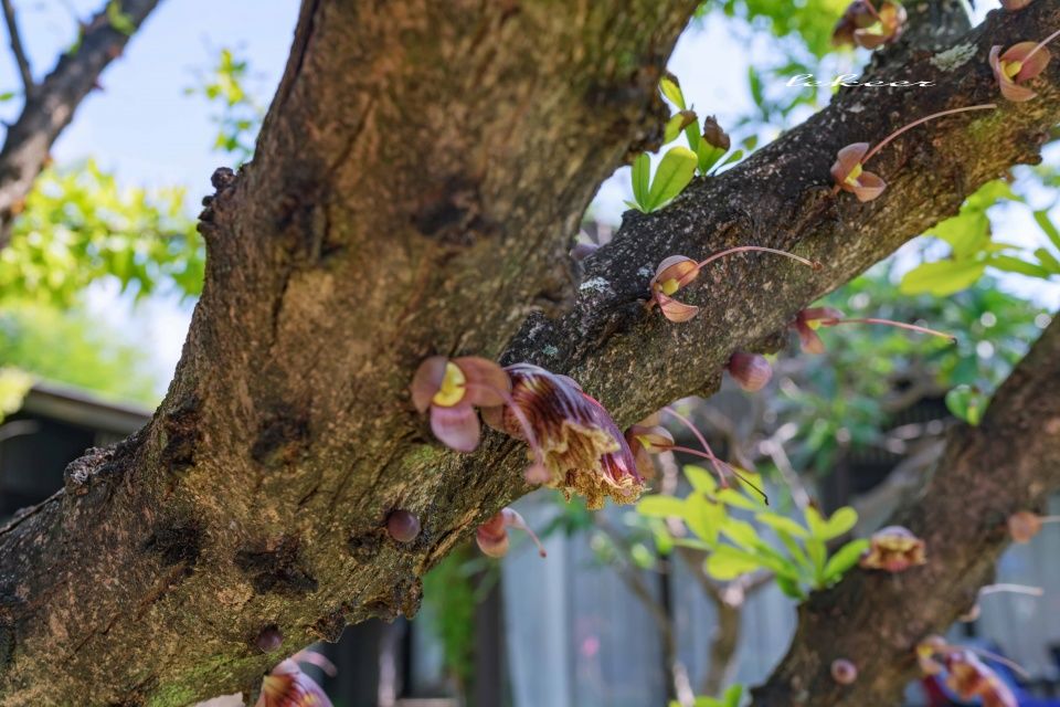 一家三口苏梅岛7日轻奢自由行 吃住行+发呆花费小4万 你看值吗?