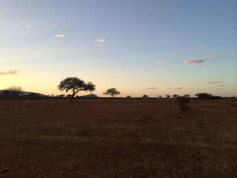 印象非洲走进肯尼亚