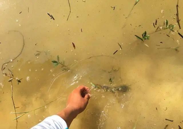  影响@春季天晴钓鱼难，下午难上加难！尝试这4种方法，钓鱼从此不再难
