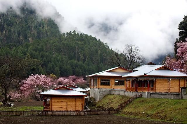 中国春天最美的七个地方，你最想去哪个？