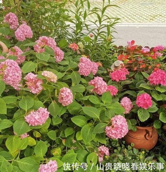 「平方」有了30平方的小院,能将日子过成了诗?简单而精致,优雅而从容!