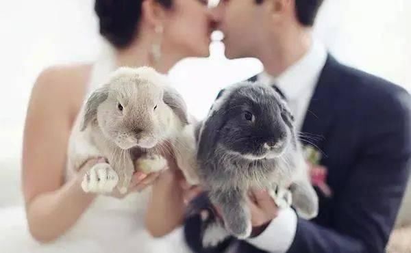  [出场方式]婚宴必需的亮点，非艺术创意登场方法莫属