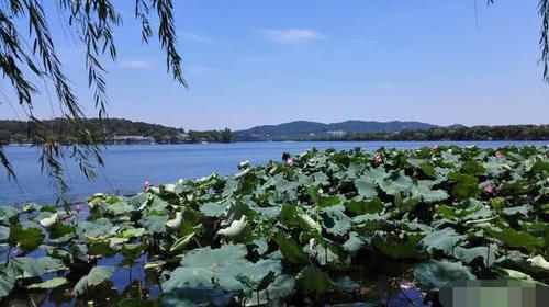 我国“零差评”的城市，今年国庆最热门的5A级良心景区：免费开放