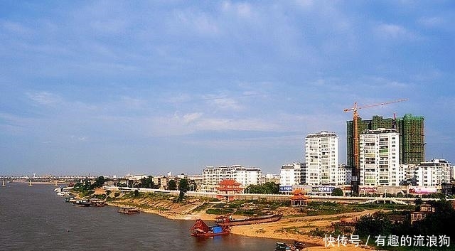  唯一@中国唯一直接以树木命名的城市