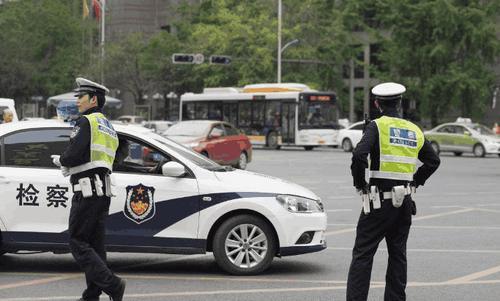 开车撞了狗用不用赔偿？交警给出最终解释，车主：再也不担心被讹